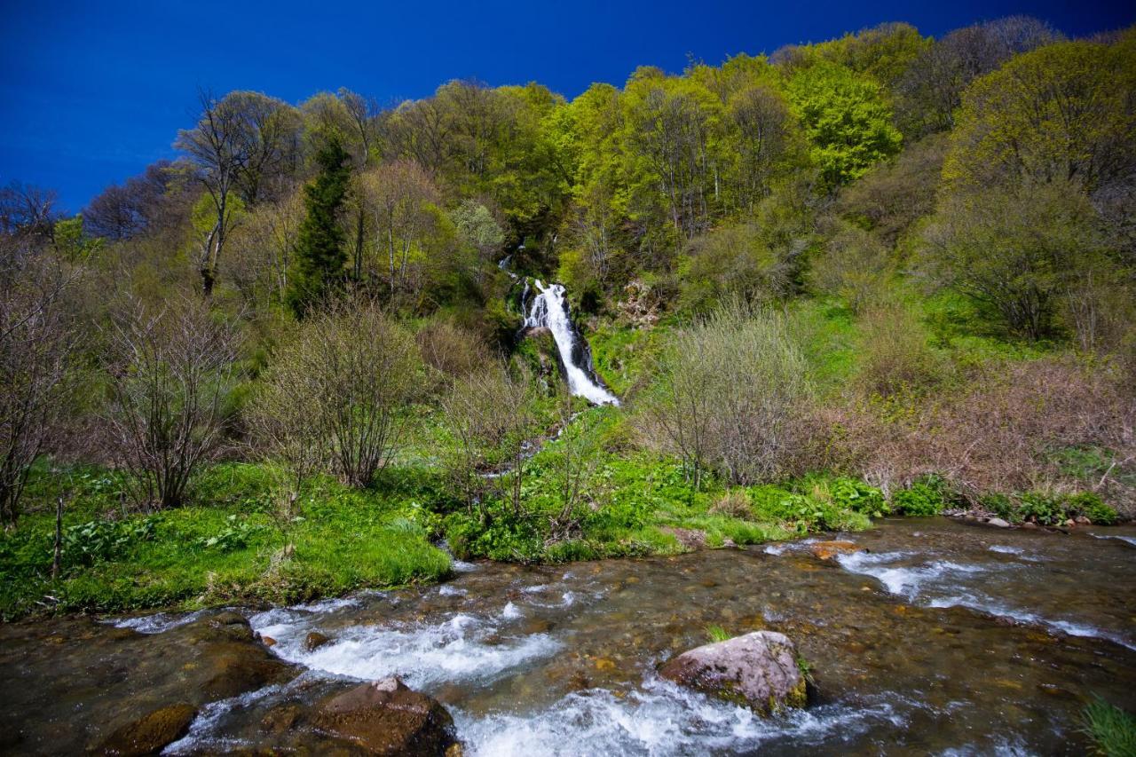 Willa La Dormeuse Du Val Chambon-sur-Lac Zewnętrze zdjęcie